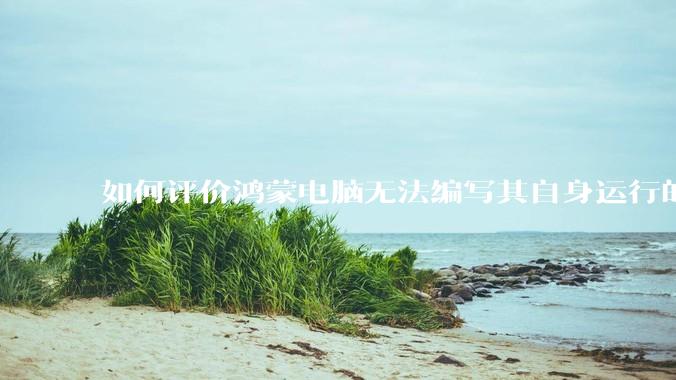 如何评价鸿蒙电脑无法编写其自身运行的程序？