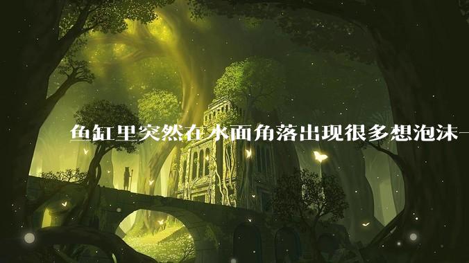 鱼缸里突然在水面角落出现很多想泡沫一样的气泡是怎么回事？